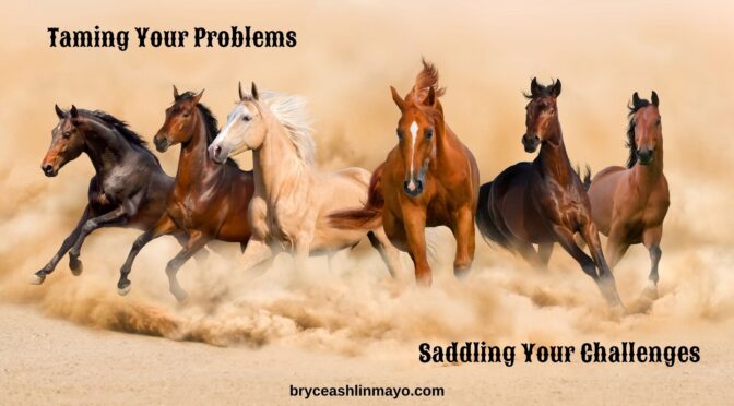 Taming Your Problems; Saddling Your Challenges
